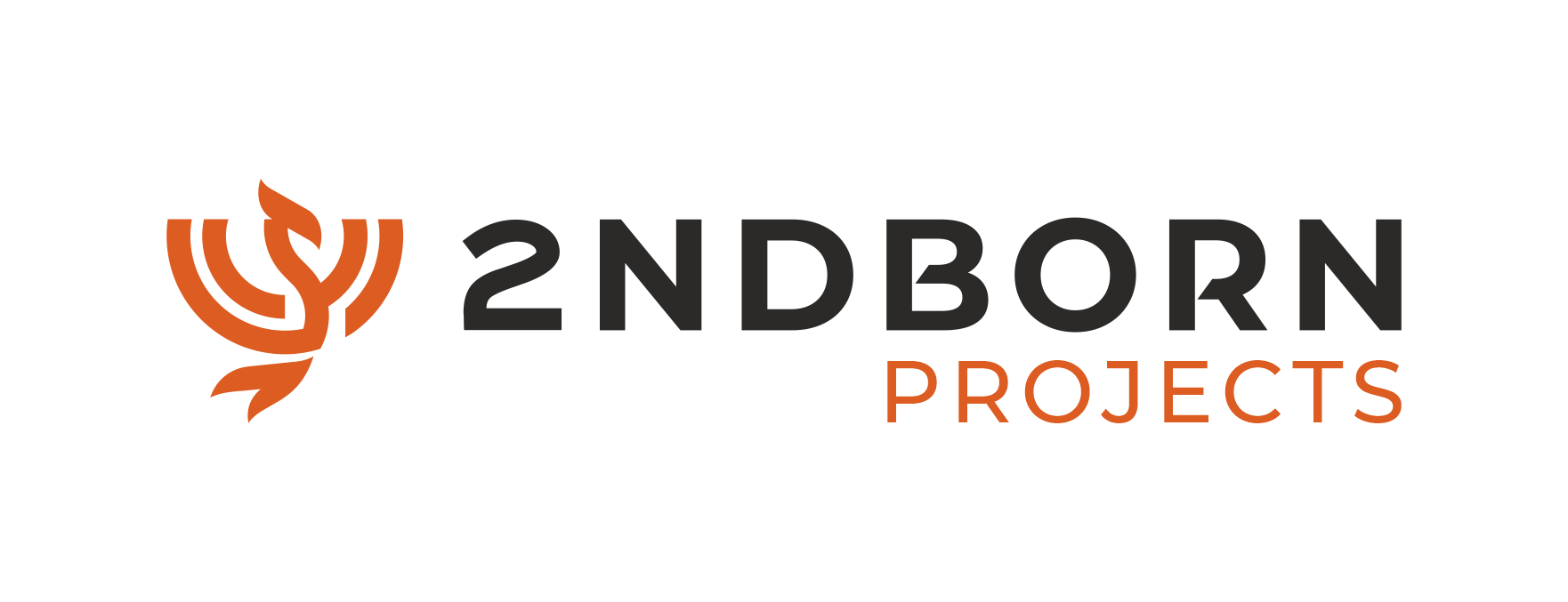 2ndbornproject.com
